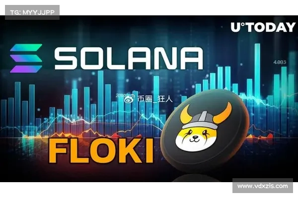 Meme 占据 Solana 交易量半壁江山，市场火热下的冷思考