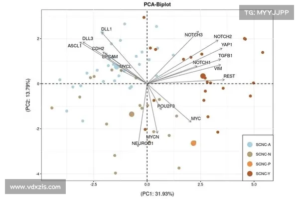 慢雾：Rikkei Finance 被黑复现分析